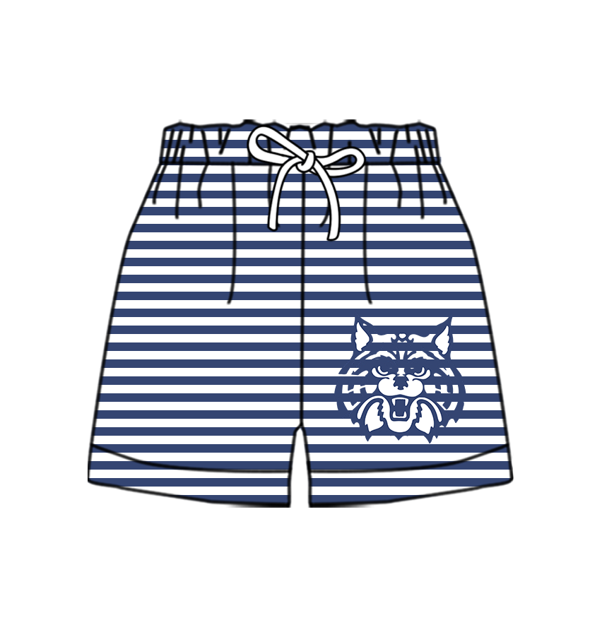 Custom moq 5 mix size milk silk summer teams Baby Blue Striped Drawstring Shorts for Children Elastic Waist Kids Summer Shorts