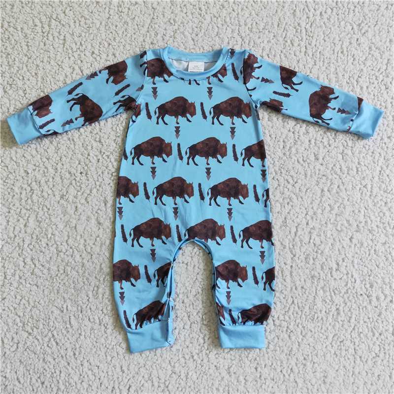 RTS NO MOQ Sibling Baby boy clothes catcus Print Fringe long sleeve Rompers