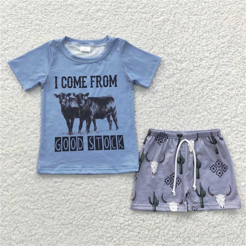 RTS NO MOQ Sibling Baby boy clothes riding horse Short Sleeve shorts Suits