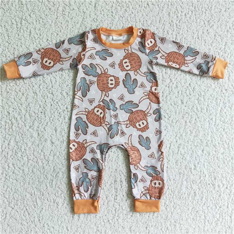 RTS NO MOQ Sibling Baby boy clothes catcus Print Fringe long sleeve Rompers