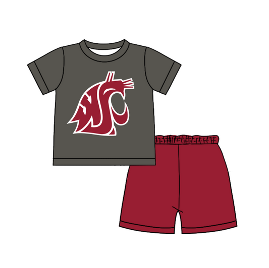 Custom moq 5 mix size milk silk summer teams Baby Boy's Grey Short-Sleeved O-Neck Top And solid color Shorts Set
