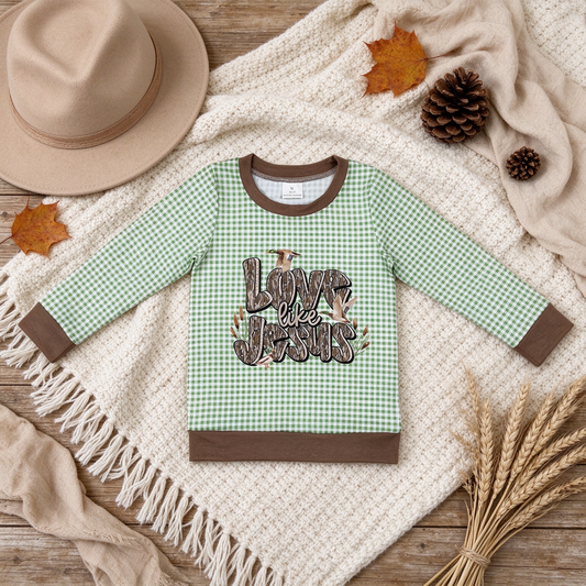 NEW RTS NO MOQ milk silk BT1320 Baby Boys Green Plaid Ducks Western Tee Shirts Casual  Top