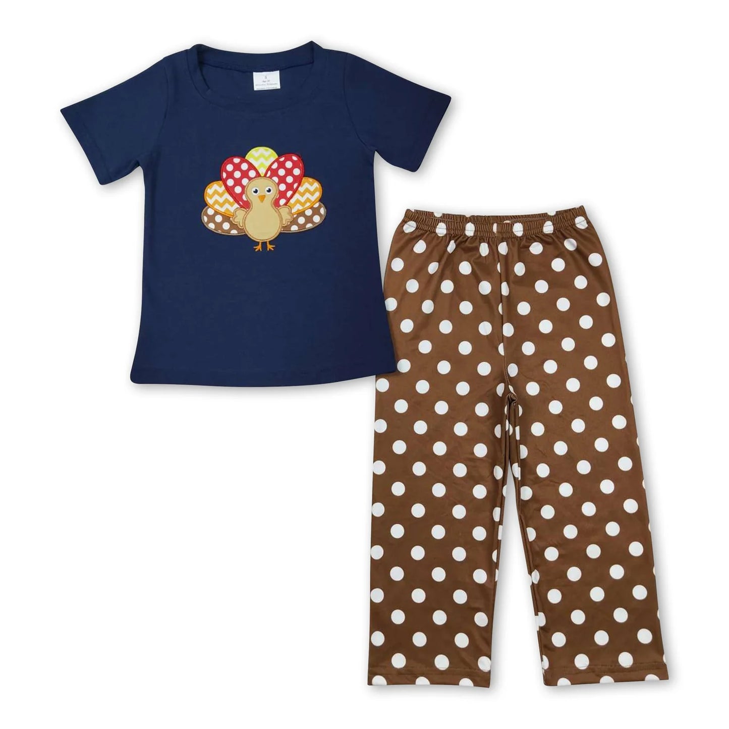 RTS NO MOQ Sibling milk silk Embroidery Baby Girls And Boys Thanksgiving Turkey Short Sleeve Top Pants Casual Sets Rompers Long Sleeve Rompers