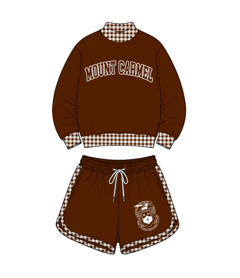 custom moq 5 mix size AITOLY0101 Baby Kids Plaid Print Long Sleeve Crew Neck Top Elastic Waist Casual Shorts Set